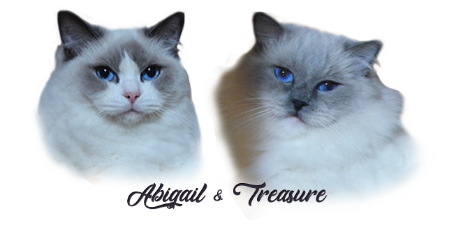 abigail treasure